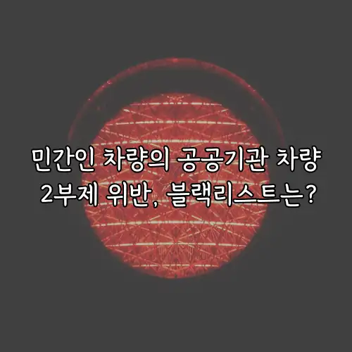 민간인 차량의 공공기관 차량 2부제 위반, 블랙리스트는?