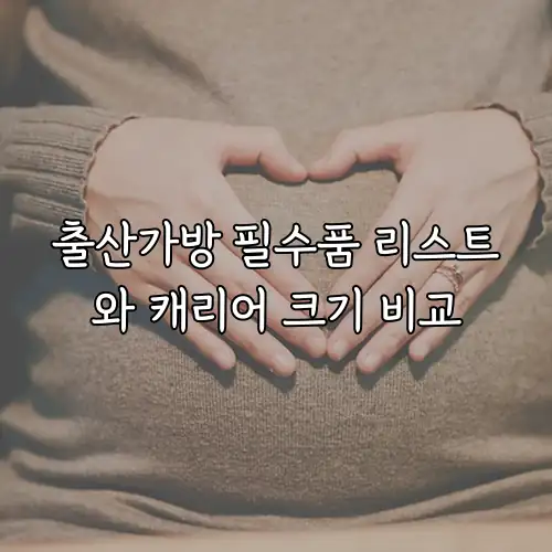 출산가방 필수품 리스트와 캐리어 크기 비교