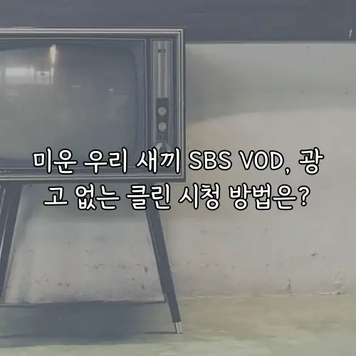 미운 우리 새끼 SBS VOD, 광고 없는 클린 시청 방법은?
