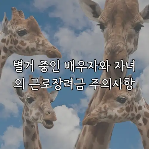 별거 중인 배우자와 자녀의 근로장려금 주의사항