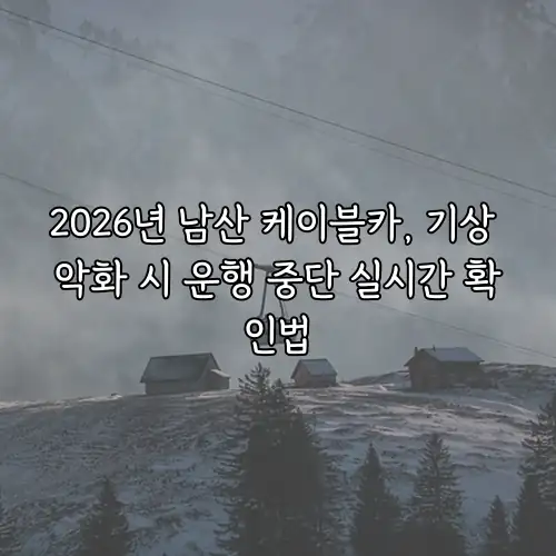 2026년 남산 케이블카, 기상 악화 시 운행 중단 실시간 확인법