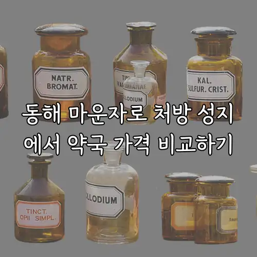 동해 마운자로 처방 성지에서 약국 가격 비교하기