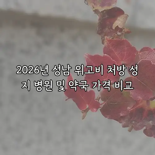 2026년 성남 위고비 처방 성지 병원 및 약국 가격 비교