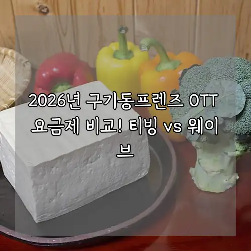 2026년 구기동프렌즈 OTT 요금제 비교! 티빙 vs 웨이브