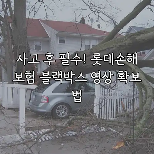 사고 후 필수! 롯데손해보험 블랙박스 영상 확보법