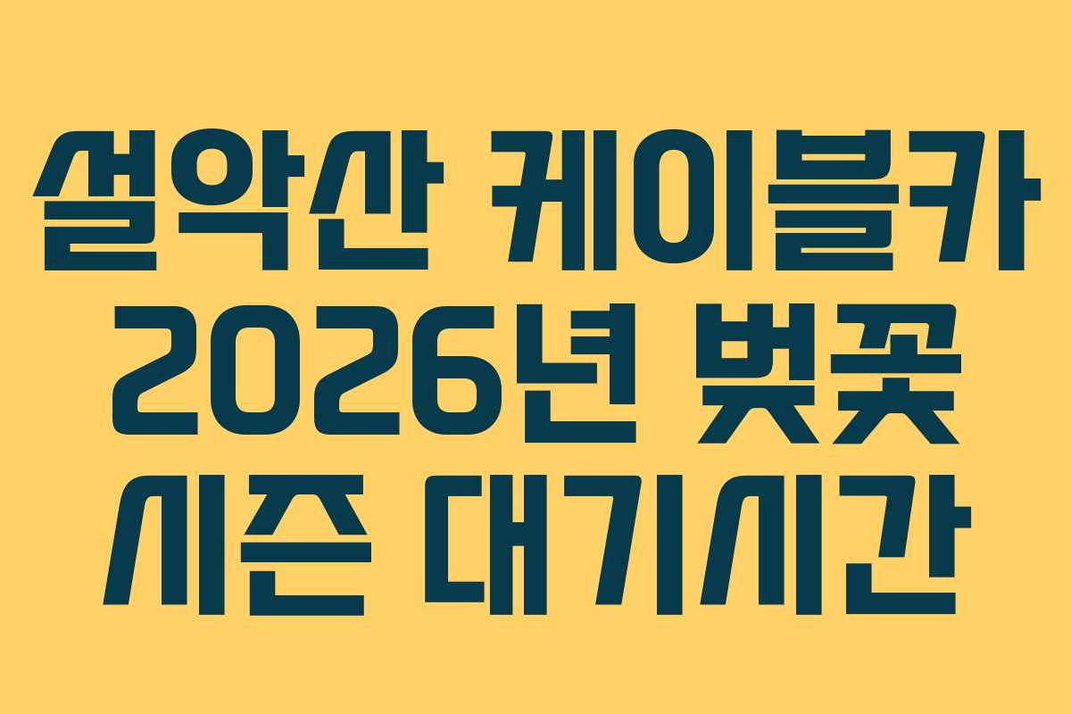 설악산 케이블카 2026년 벚꽃 시즌 대기시간