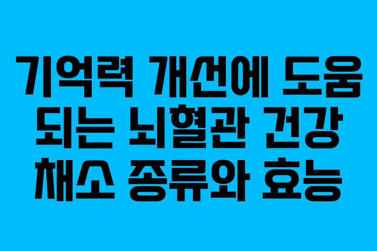 기억력-개선에-도움-되는-뇌혈관-건강-채소-종류와-효능