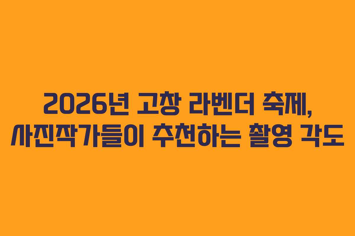 2026년 고창 라벤더 축제, 사진작가들이 추천하는 촬영 각도