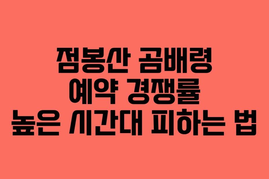 점봉산-곰배령-예약-경쟁률-높은-시간대-피하는-법