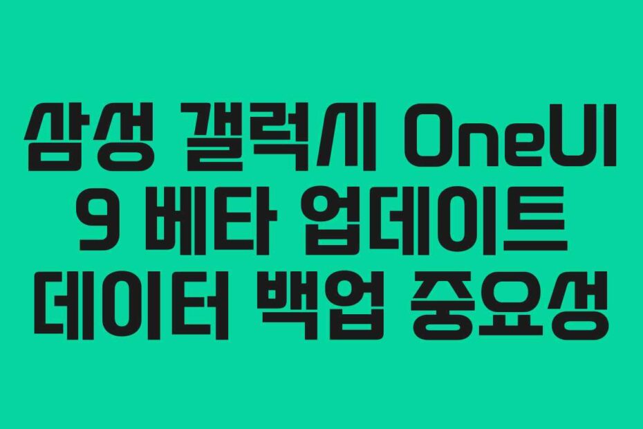 삼성-갤럭시-OneUI-9-베타-업데이트-데이터-백업-중요성