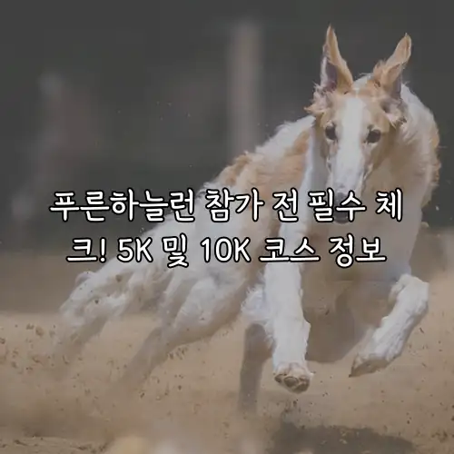 푸른하늘런 참가 전 필수 체크! 5K 및 10K 코스 정보