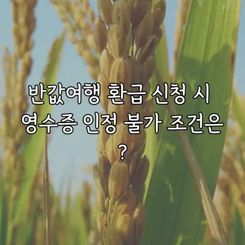 반값여행 환급 신청 시 영수증 인정 불가 조건은?