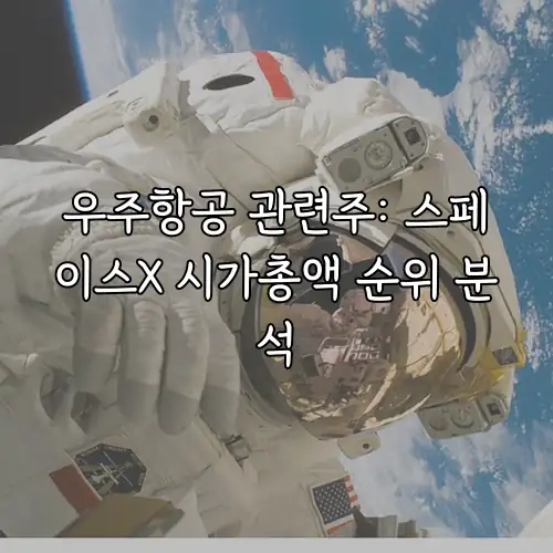 우주항공 관련주: 스페이스X 시가총액 순위 분석