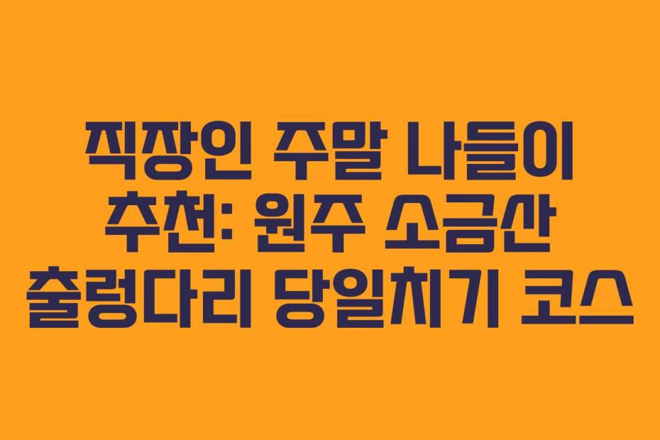 직장인-주말-나들이-추천-원주-소금산-출렁다리-당일치기-코스