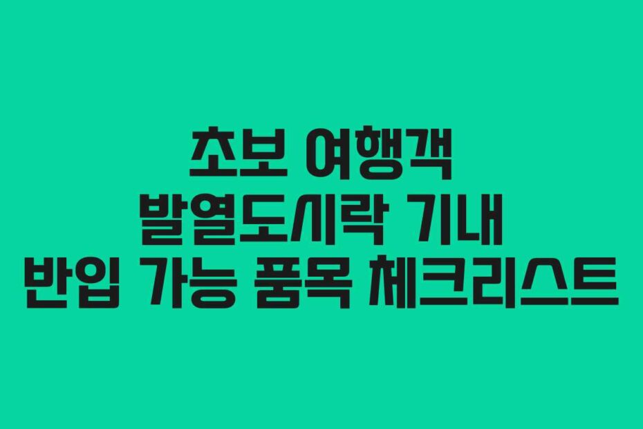 초보-여행객-발열도시락-기내-반입-가능-품목-체크리스트