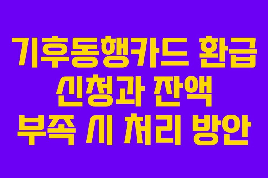 기후동행카드-환급-신청과-잔액-부족-시-처리-방안