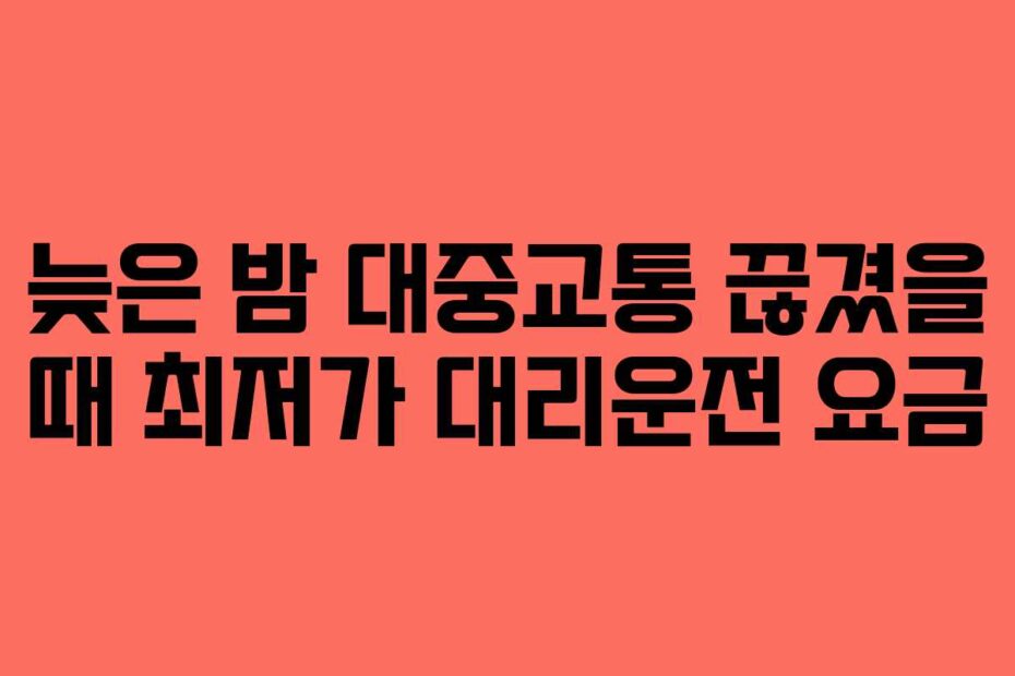 늦은-밤-대중교통-끊겼을-때-최저가-대리운전-요금