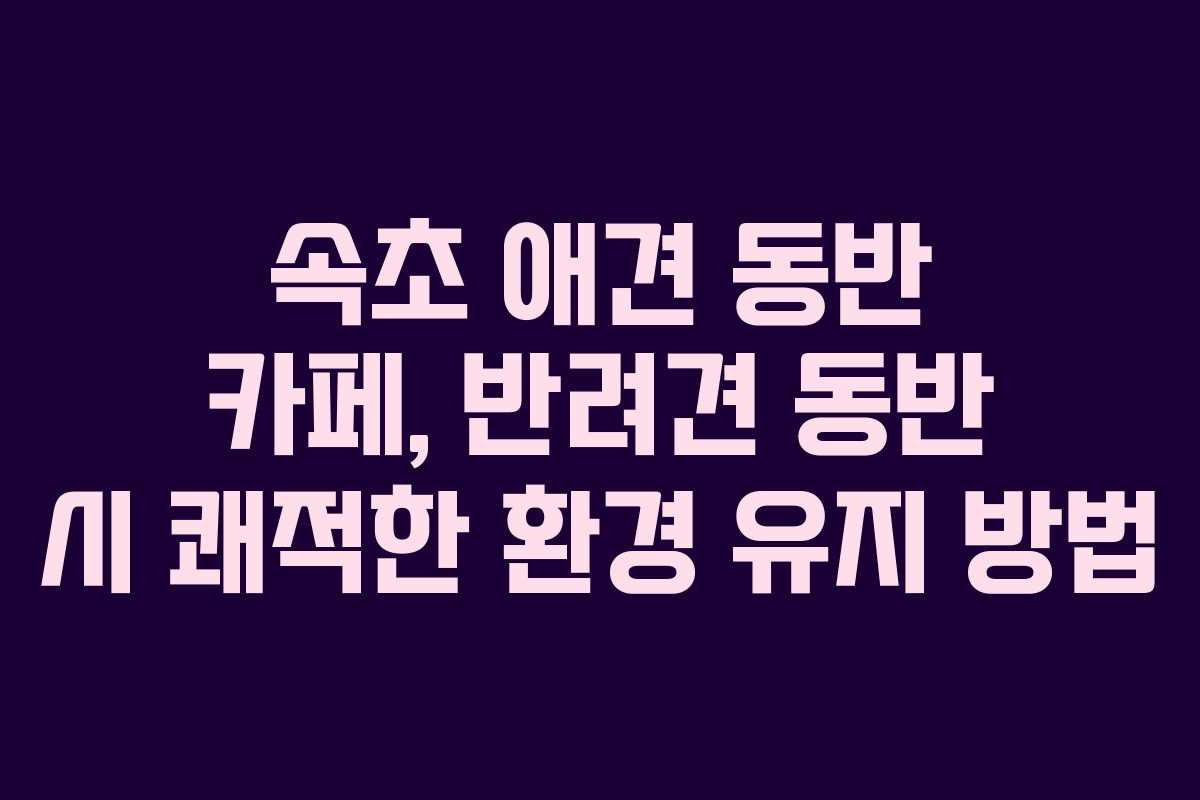속초 애견 동반 카페, 반려견 동반 시 쾌적한 환경 유지 방법